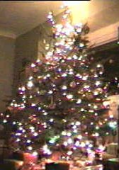 tree-night.jpg (14596 bytes)
